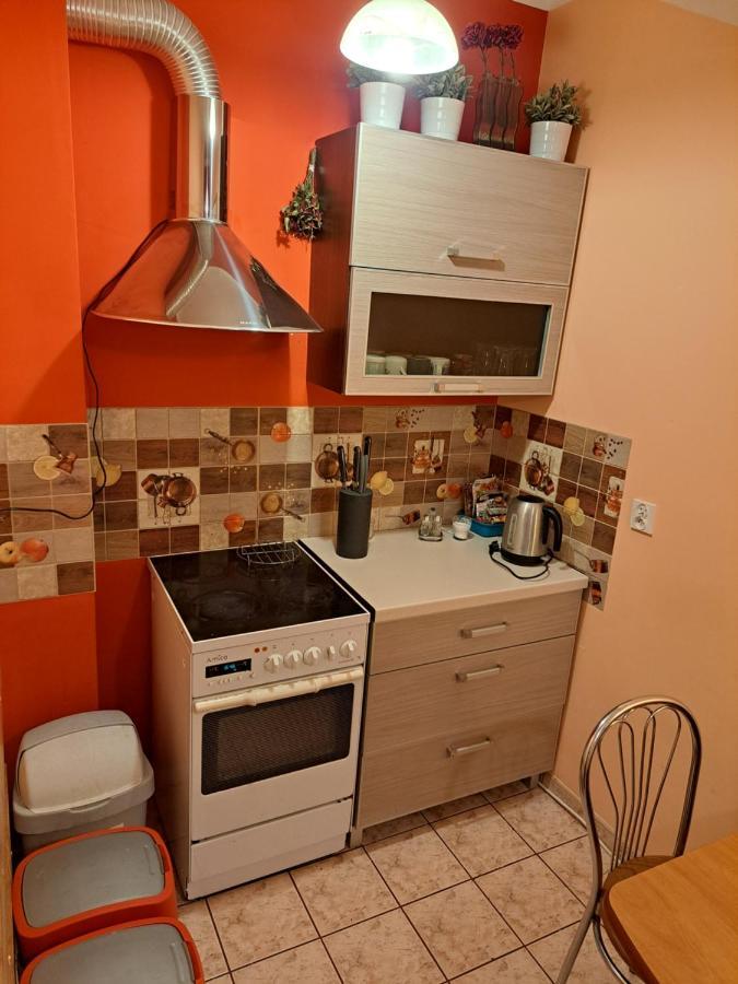 Wiking Apartment Шклярска Поремба Екстериор снимка