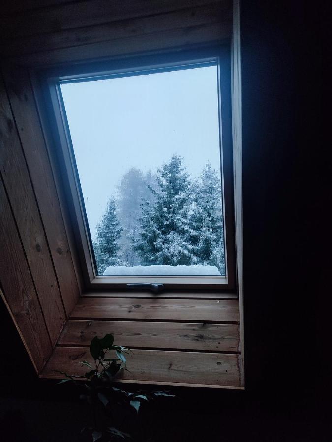 Wiking Apartment Шклярска Поремба Екстериор снимка