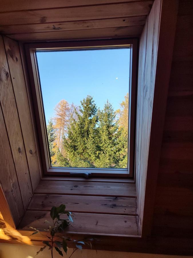 Wiking Apartment Шклярска Поремба Екстериор снимка